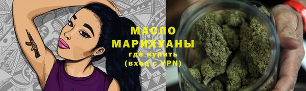 стаф Новозыбков