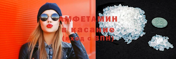 стаф Новозыбков