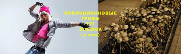 соль ск Новокубанск