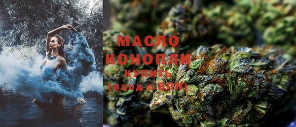 стаф Новозыбков