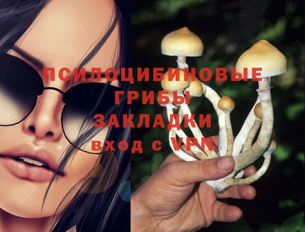 соль ск Новокубанск
