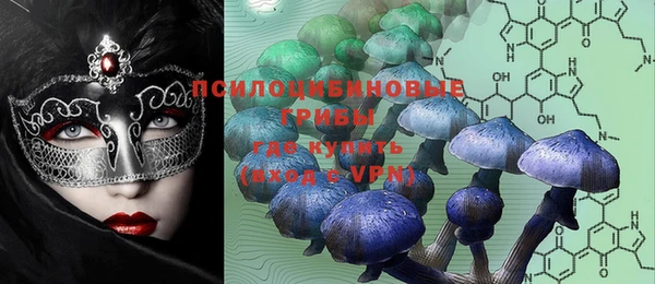стаф Новозыбков