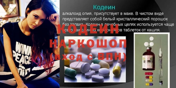 стаф Новозыбков