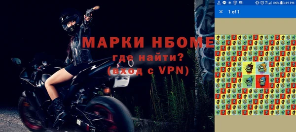 стаф Новозыбков