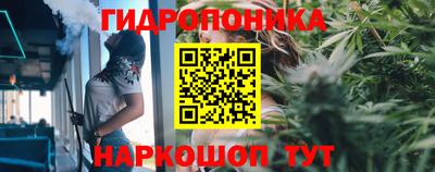 стафф Жуковский