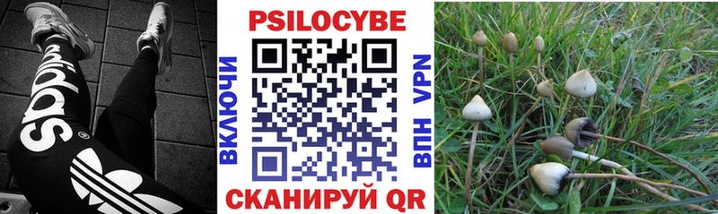 ссылка на мегу маркетплейс  Фролово  Псилоцибиновые грибы MAGIC MUSHROOMS  магазин  наркотиков 