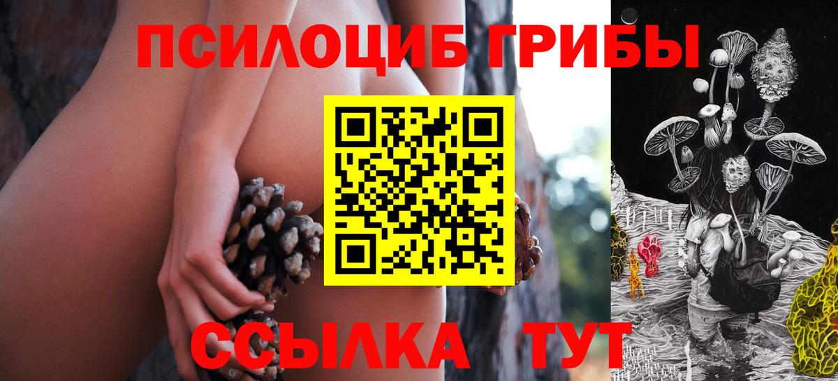 купить наркотики цена  Галлюциногенные грибы Psilocybe  Фролово  Псилоцибиновые грибы ЛСД 