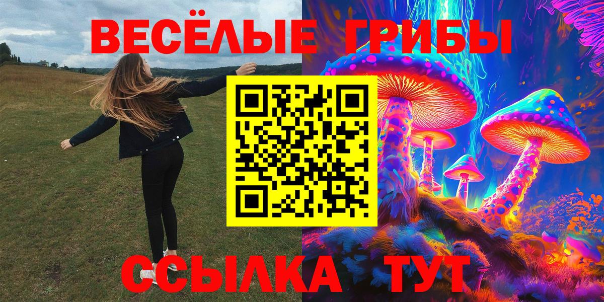 Галлюциногенные грибы GOLDEN TEACHER Фролово
